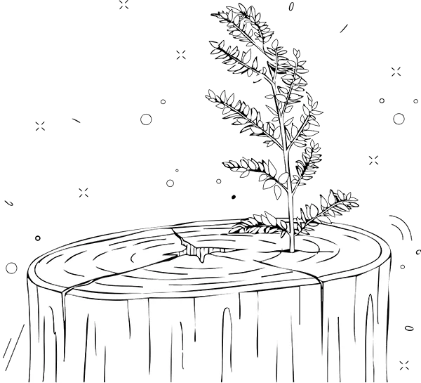 Modernization of legacy IT systems, representing transformation and renewal