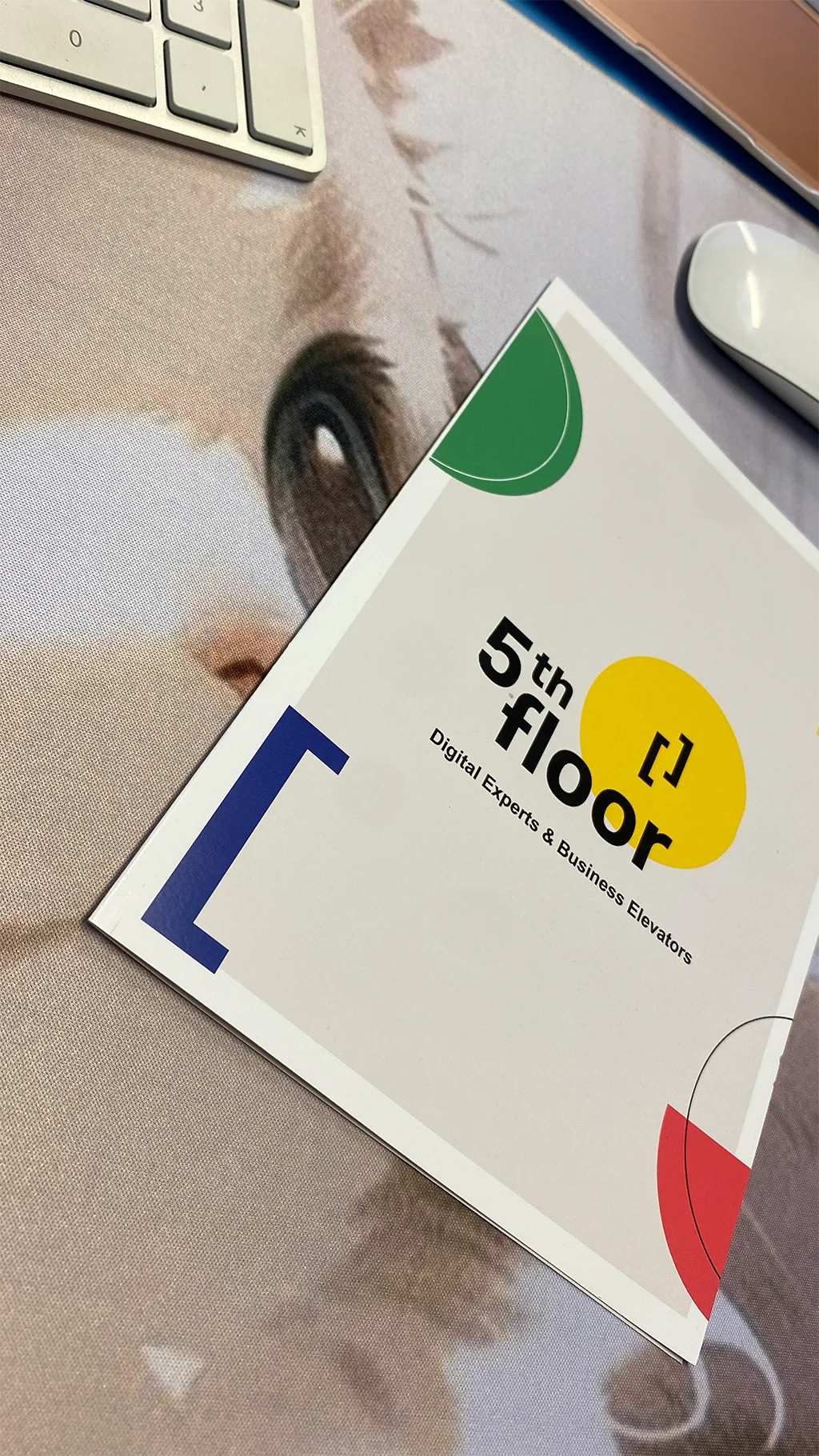 New 5thfloor catalog