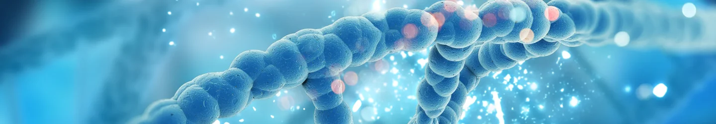 Visuals representing human values, sustainability, and teamwork